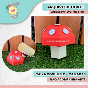 Caixa Cogumelo - CAMADAS